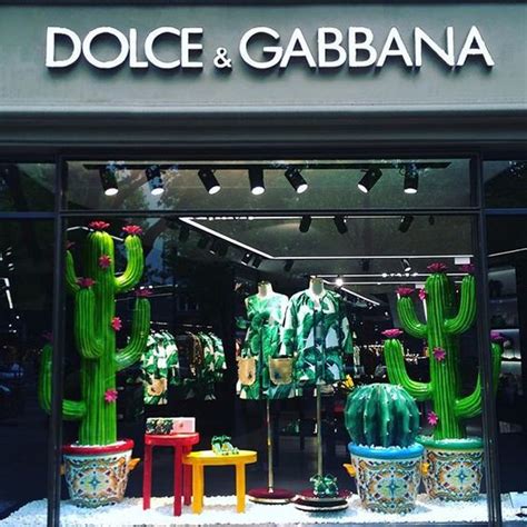 dolce gabbana cactus